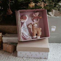 COFFRET CADEAU-FAIRY GARDEN