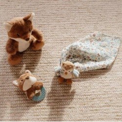 COFFRET CADEAU-FOREST FRIENDS