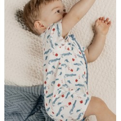 COMBI LITTLE CROCO