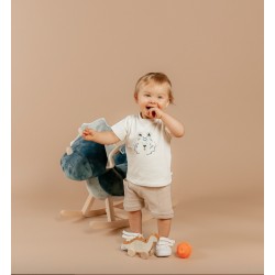 SET TEE SHIRT ET SHORT-TIGGER