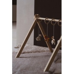 ARCHE DE JEUX DOGS