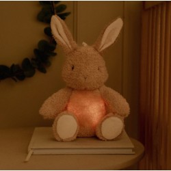 LAPIN MUSICAL ET LUMINEUX...
